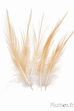 Kranich - gebleicht - 15-20 cm - creme